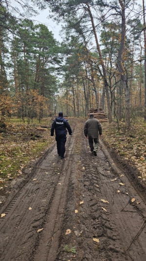 Policjant i strażnik idą leśną drogą