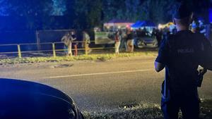 Policjant obserwuje osoby uczestniczące w imprezie
