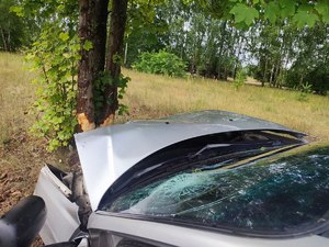 Uszkodzone auto po uderzeniu w drzewo.