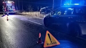 Na zdjęciu widzimy uszkodzony po uderzeniu w drzewo.