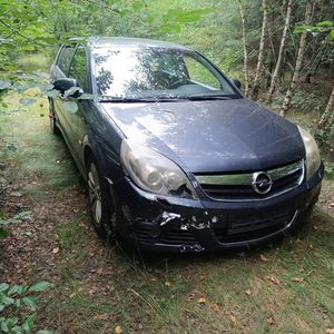 opel ukryty w lesie