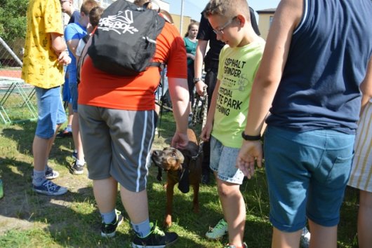 Grupa dzieci głaskająca psa do poszukiwań ludzi, Dni Bezpieczeństwa Bartniki